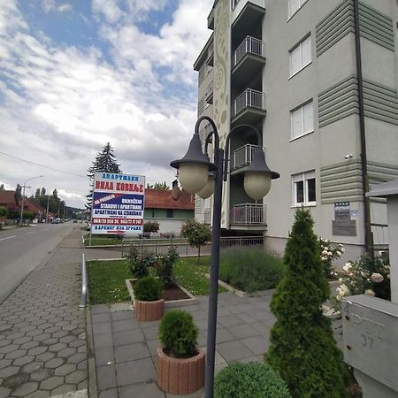 Apartmani - Vila Kovilje Banja Koviljača Εξωτερικό φωτογραφία