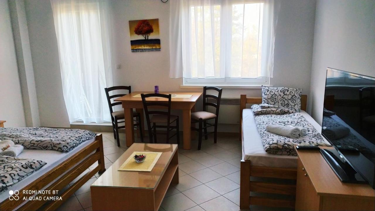 Apartmani - Vila Kovilje Banja Koviljača Εξωτερικό φωτογραφία