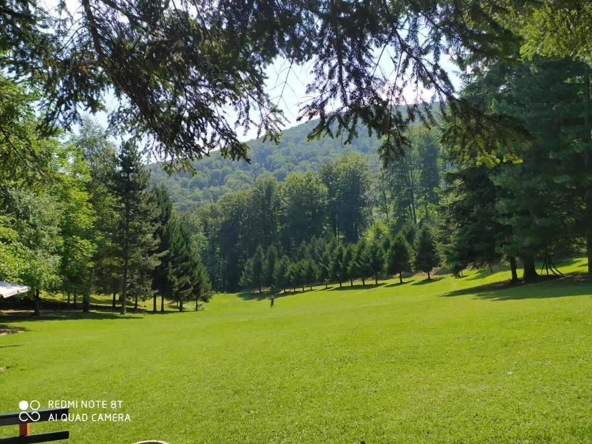 Apartmani - Vila Kovilje Banja Koviljača Εξωτερικό φωτογραφία