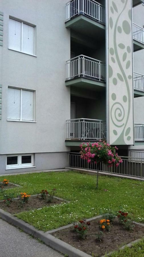 Apartmani - Vila Kovilje Banja Koviljača Εξωτερικό φωτογραφία
